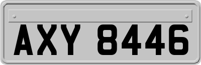 AXY8446