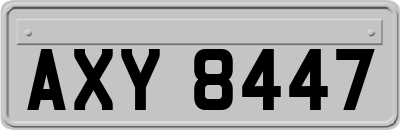AXY8447
