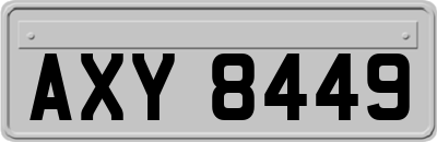 AXY8449