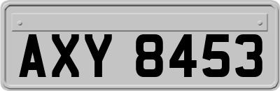 AXY8453