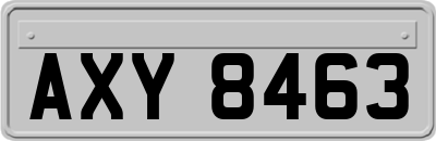 AXY8463