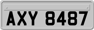 AXY8487