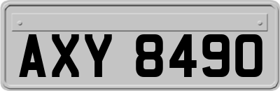 AXY8490