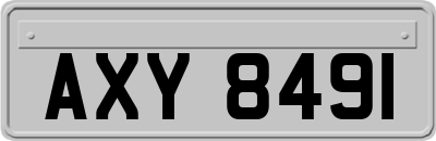 AXY8491