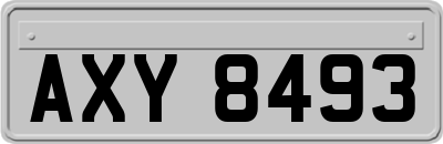 AXY8493