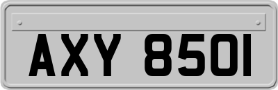 AXY8501