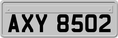 AXY8502