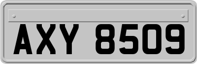 AXY8509