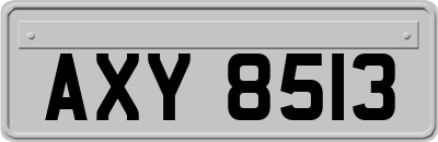 AXY8513