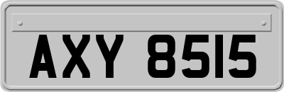 AXY8515