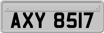 AXY8517