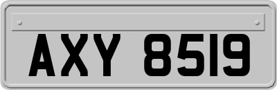 AXY8519
