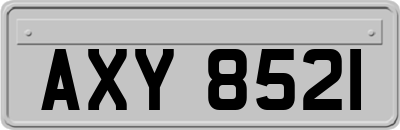 AXY8521