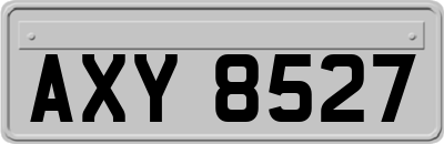 AXY8527