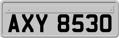 AXY8530