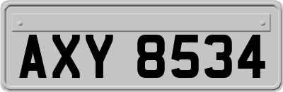 AXY8534