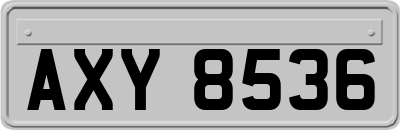 AXY8536