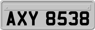 AXY8538