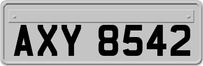 AXY8542