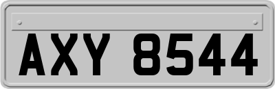 AXY8544