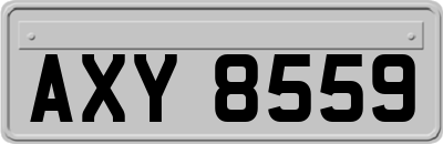 AXY8559