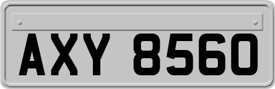 AXY8560