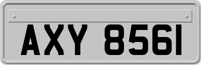 AXY8561
