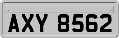 AXY8562