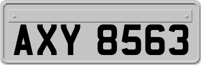AXY8563