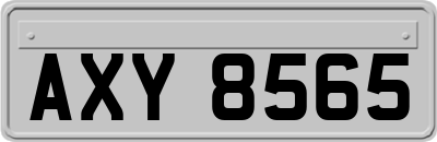 AXY8565