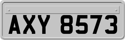 AXY8573