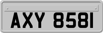 AXY8581