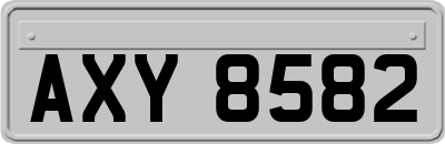 AXY8582