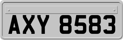 AXY8583