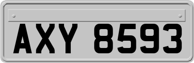 AXY8593