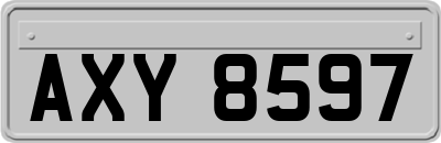 AXY8597