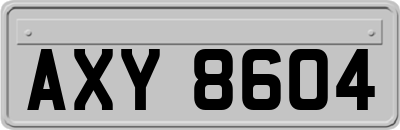 AXY8604