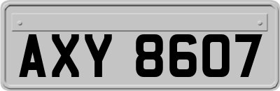 AXY8607