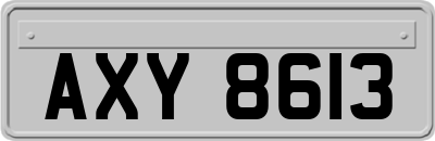 AXY8613