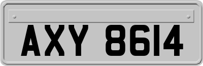 AXY8614