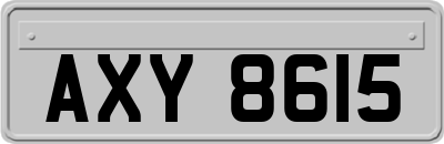 AXY8615