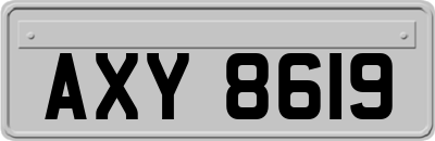 AXY8619