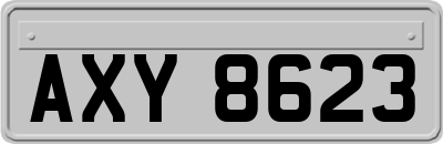 AXY8623