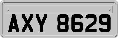 AXY8629