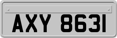AXY8631