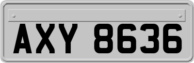 AXY8636