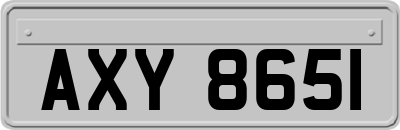 AXY8651