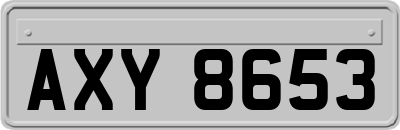 AXY8653