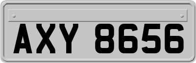 AXY8656