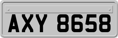 AXY8658
